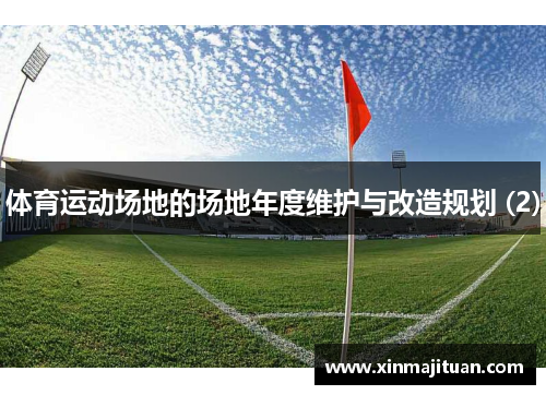 体育运动场地的场地年度维护与改造规划 (2)